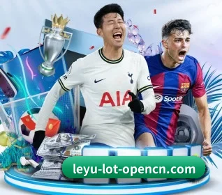五大服务分区,信息按项目分类（leyu）